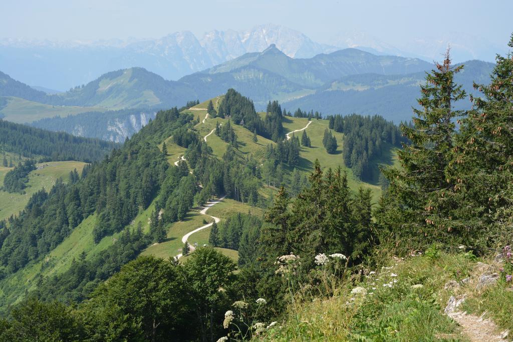 Appart Weisse Urlauben Am Wolfgangsee 성길벤 외부 사진